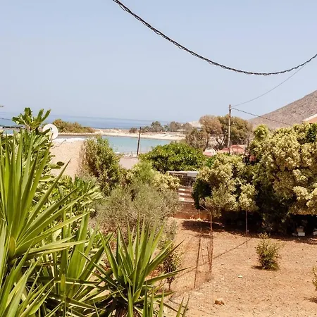 Sunny Peaceful Near The Sea
